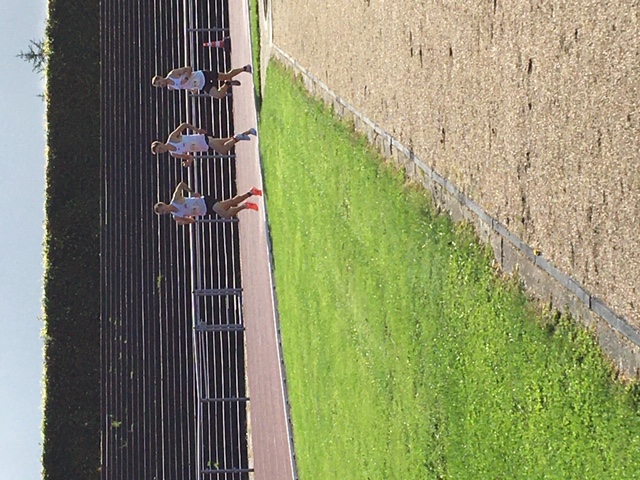 IMG 1009